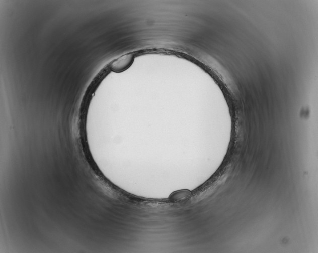 X0000102800924200809150925