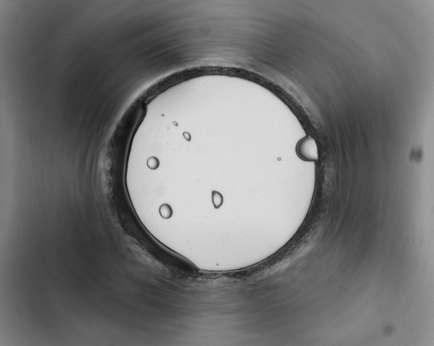 X0000102800926200809150925