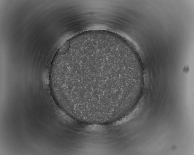 X0000102800929200809150925