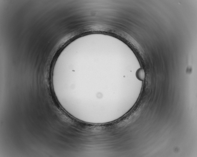 X0000102800930200809150925