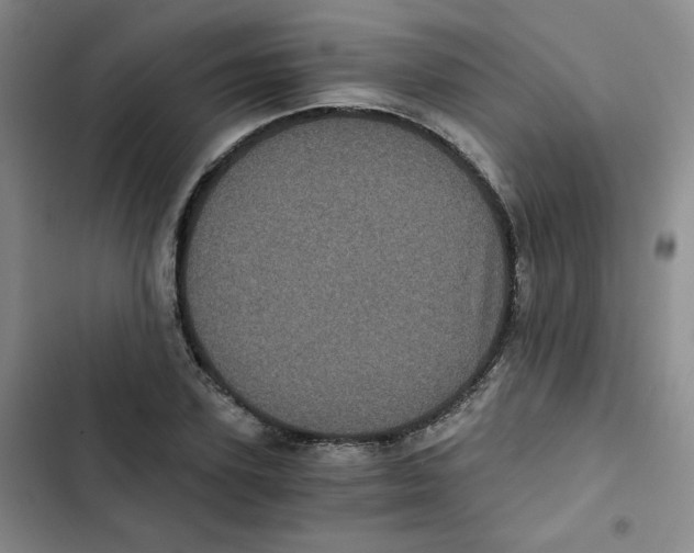 X0000102800931200809150925