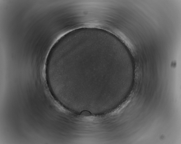 X0000102800932200809150925