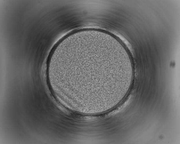 X0000102800933200809150925