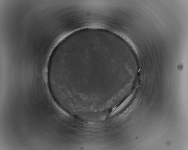 X0000102800935200809150925