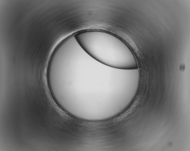 X0000102800936200809150925