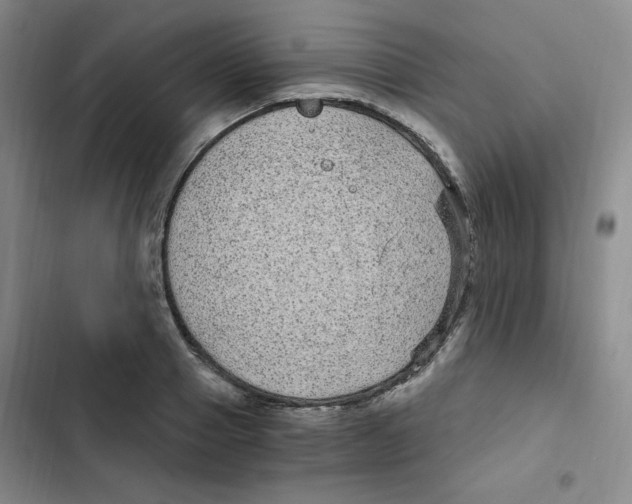 X0000102800937200809150925