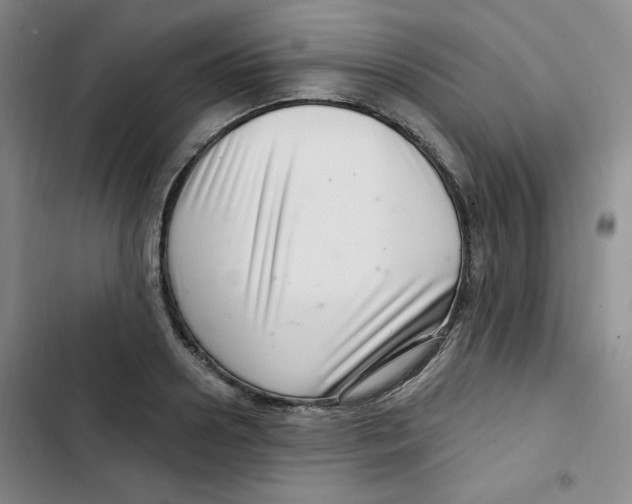 X0000102800938200809150925