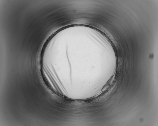 X0000102800939200809150925