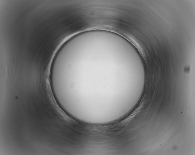 X0000102800940200809150925