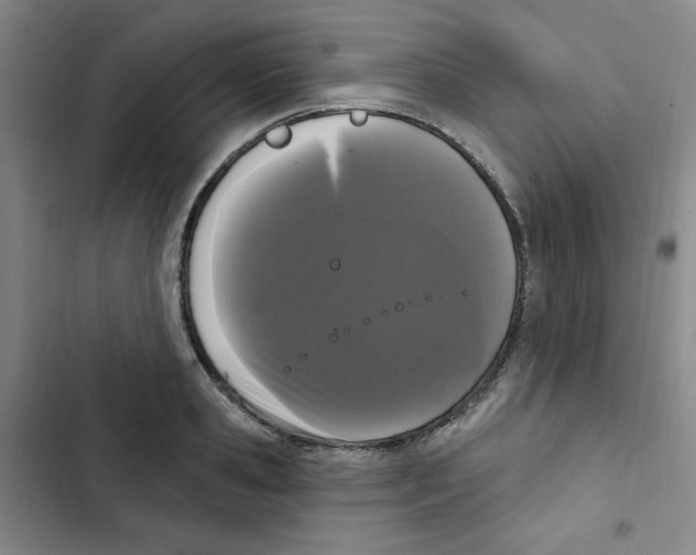 X0000102800941200809150925