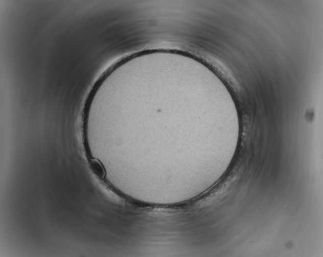 X0000102800942200809150926