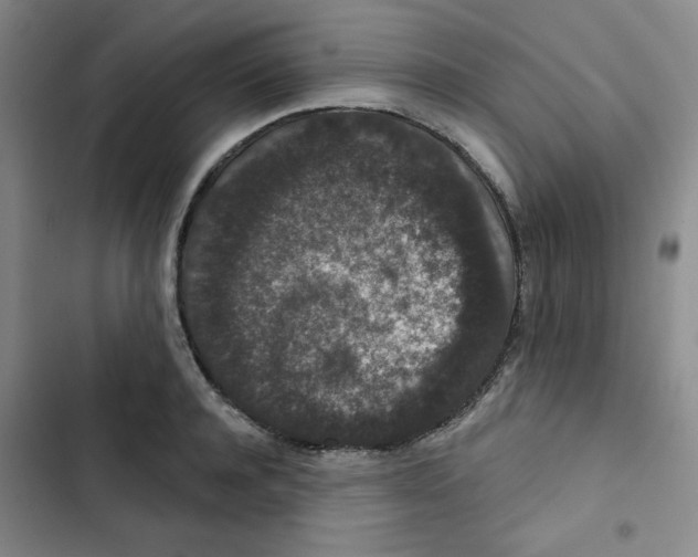 X0000102800944200809150926