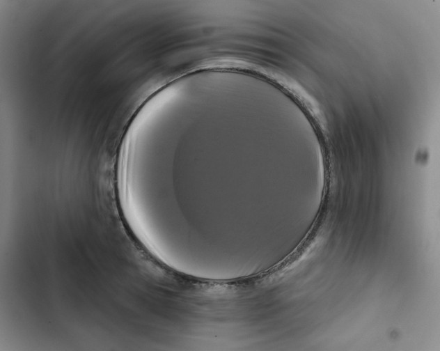 X0000102800945200809150926