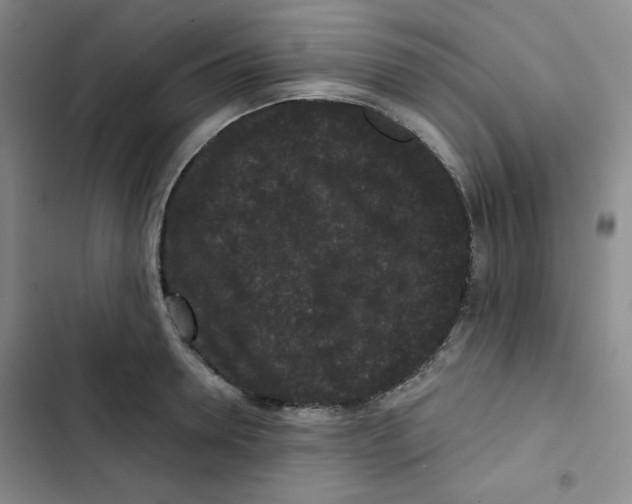 X0000102800946200809150926