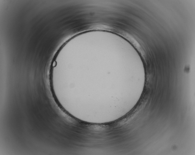 X0000102800947200809150926