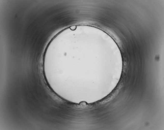 X0000102800948200809150926