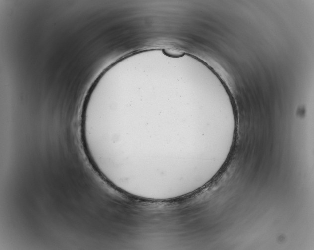 X0000102800949200809150926