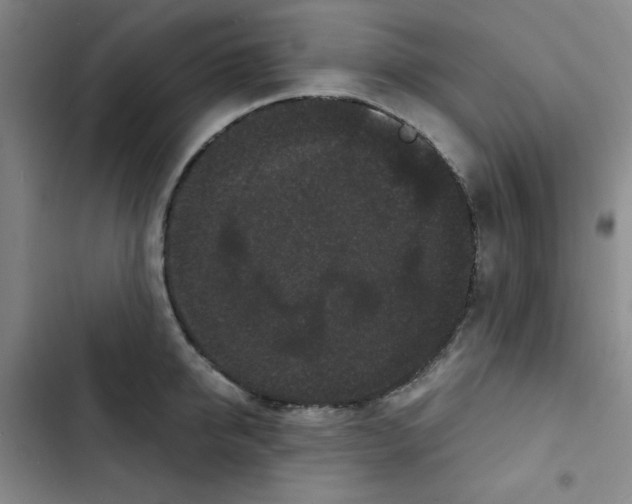 X0000102800950200809150926