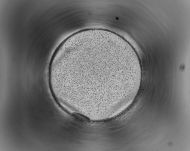 X0000102800951200809150926