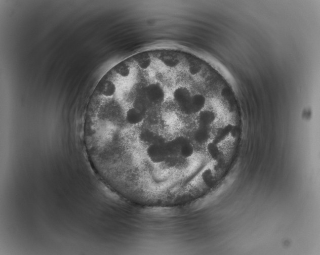 X0000102800953200809150926