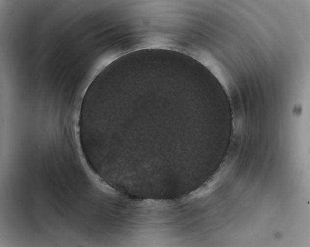 X0000102800954200809150926