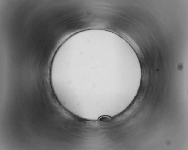 X0000102800956200809150926