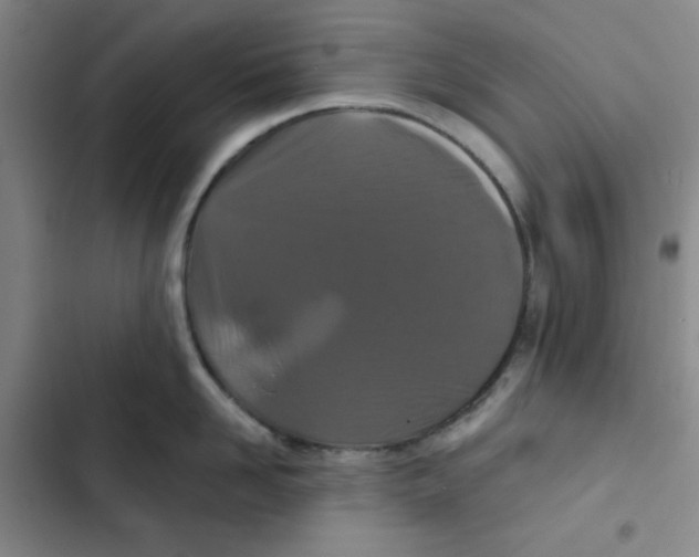 X0000102800958200809150926