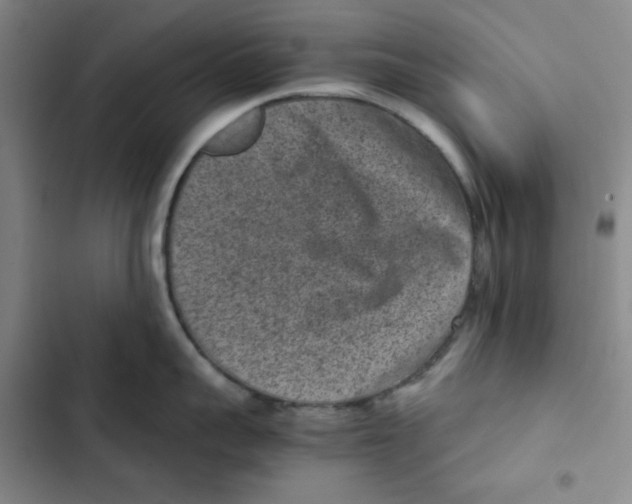 X0000102800959200809150926