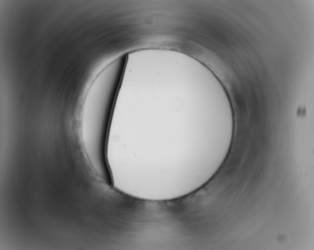 X0000102800960200809150926