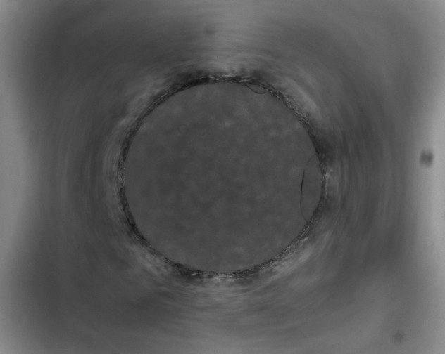 X0000102800961200809150925