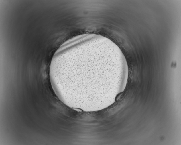 X0000102800962200809150925