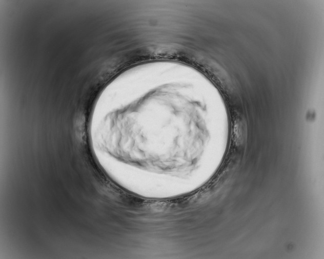 X0000102800963200809150925