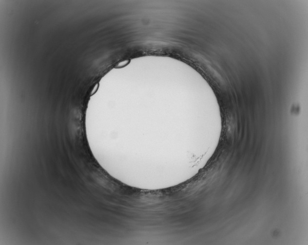 X0000102800964200809150925