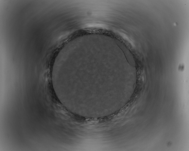 X0000102800965200809150925