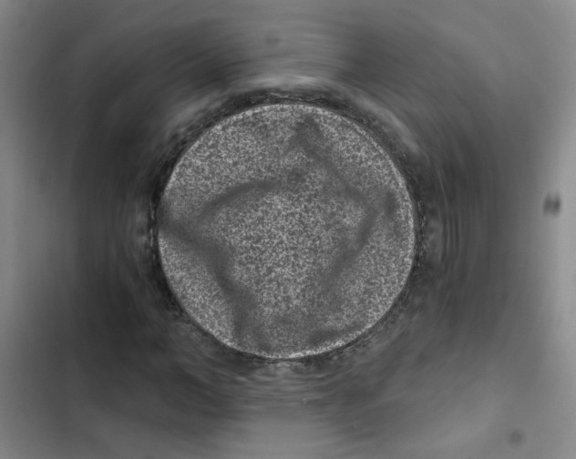 X0000102800966200809150925