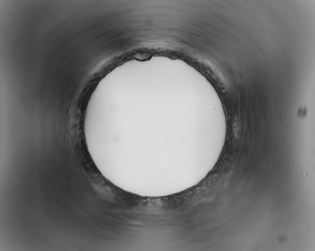 X0000102800968200809150925