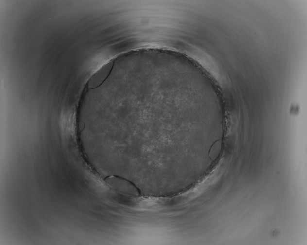 X0000102800969200809150925