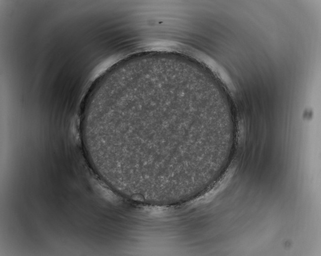 X0000102800970200809150925