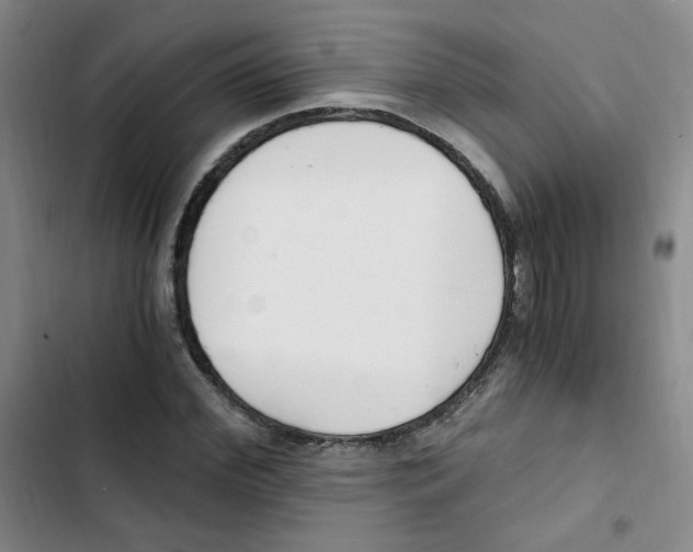 X0000102800972200809150925