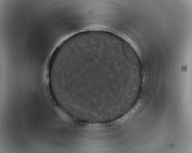 X0000102800973200809150925