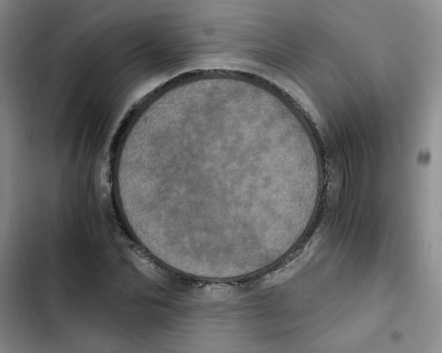 X0000102800974200809150925