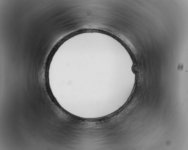 X0000102800976200809150925