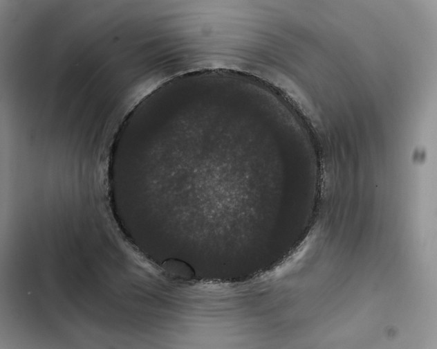 X0000102800977200809150925