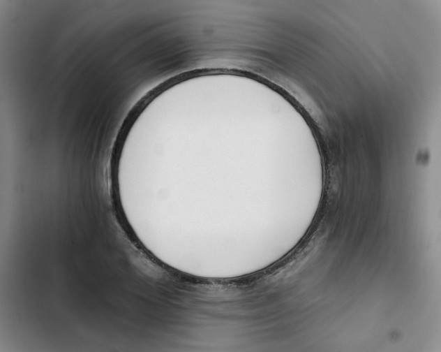 X0000102800980200809150925