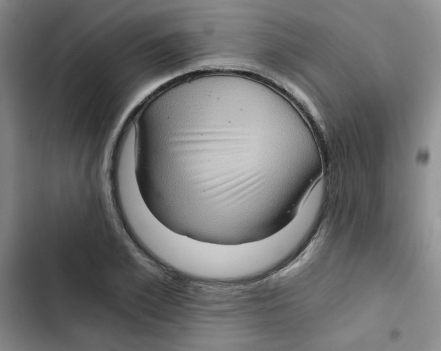 X0000102800981200809150925