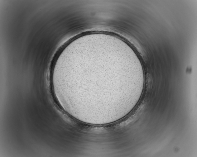 X0000102800982200809150925