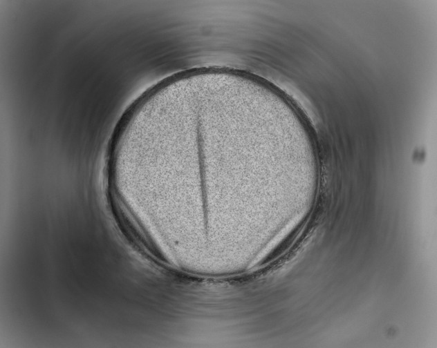 X0000102800983200809150925