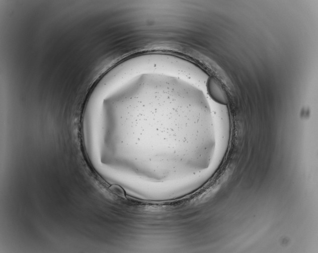 X0000102800985200809150925