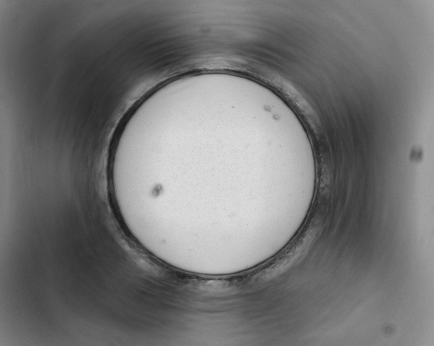 X0000102800986200809150925