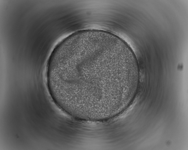 X0000102800987200809150925